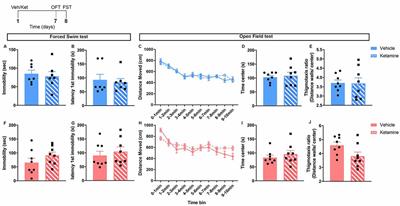 Sex Differences in the Sustained Effects of Ketamine on Resilience to Chronic Stress